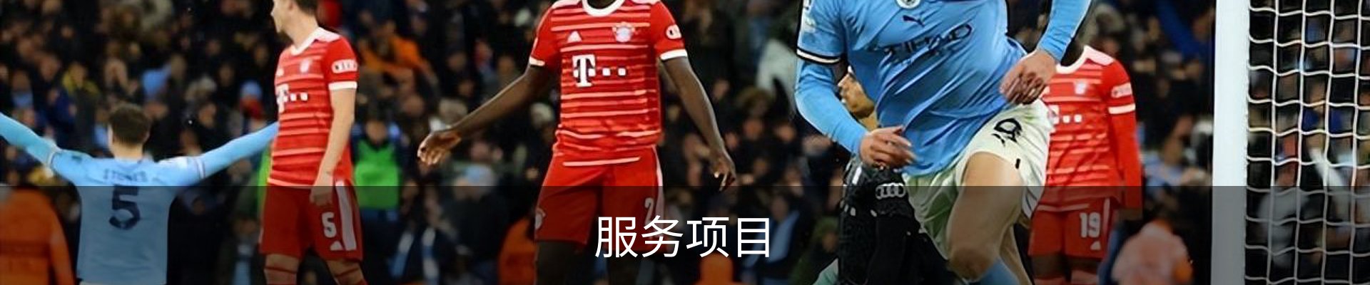 服务项目